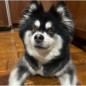 UNLISTED SHOW ITEM 21